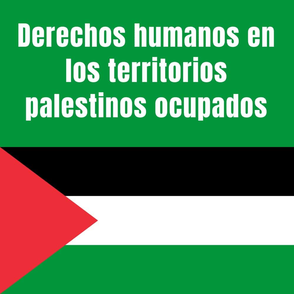 Derechos Humanos en los territorios ocupados Palestinos